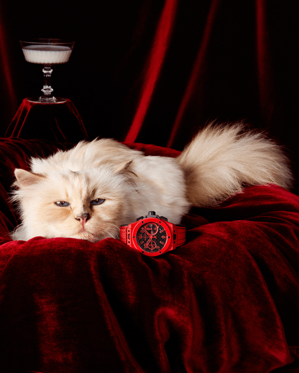 Hublot y el tiempo de&nbsp;Choupette
